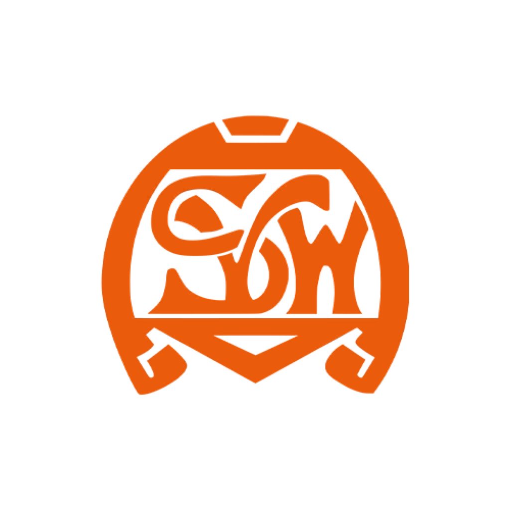 Profilbild von SvWiesbaden1899