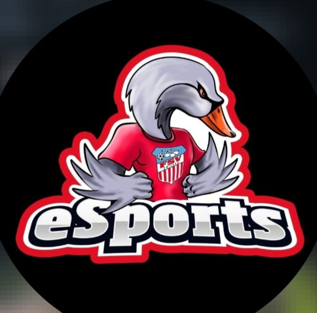 FSV Zwickau eSports Academy